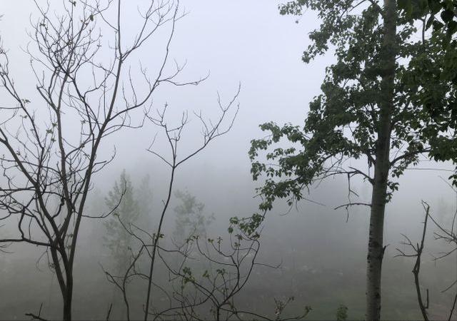 明日雨水老人说雨水节气有三怕分别指啥有啥习俗 新闻时间