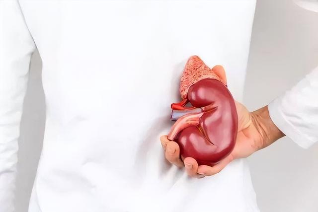 喝水后多久排尿说明肾脏很健康？医生：结合尿量判断更可靠