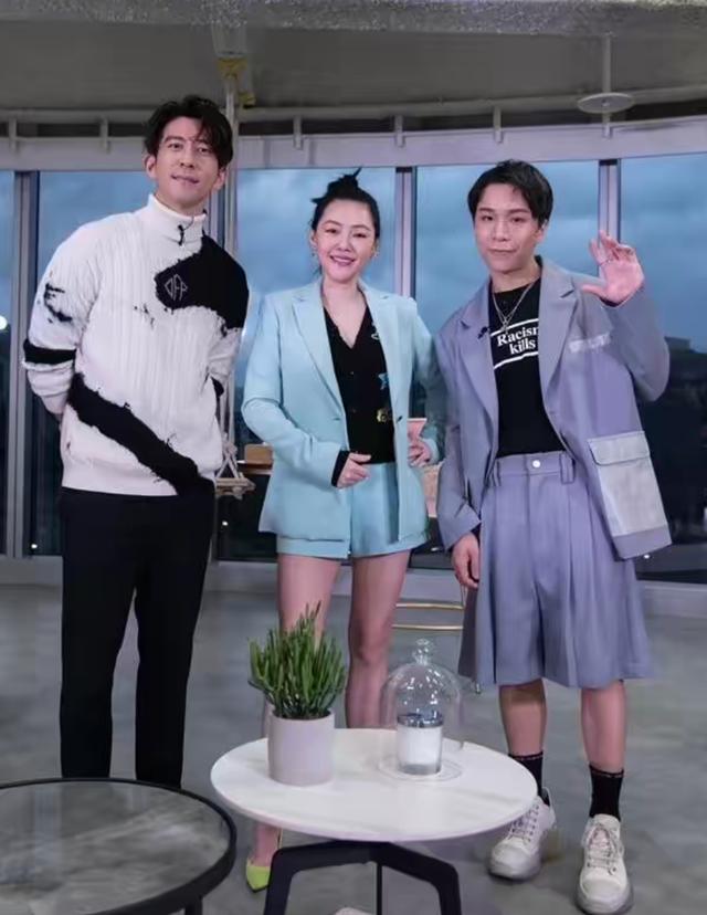 贾静雯怀孕电视剧（贾静雯怀孕电视剧有哪些）