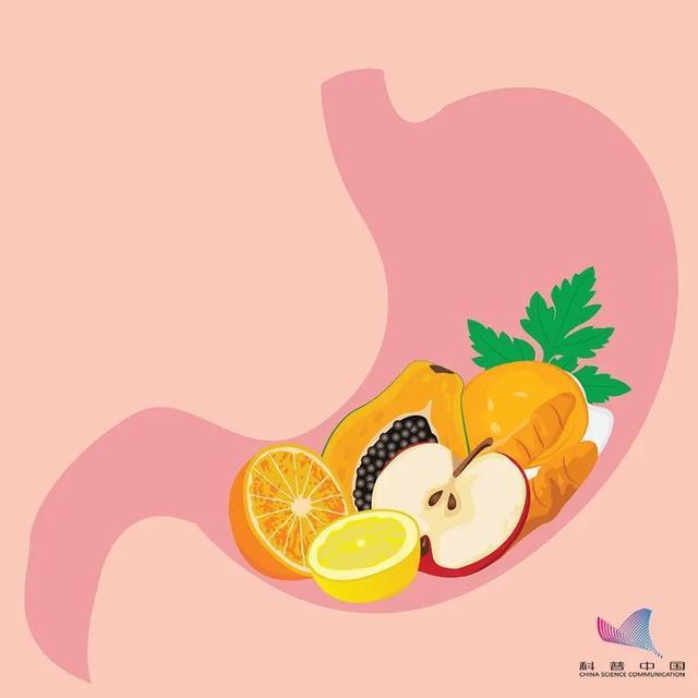 金针菇为什么叫“明天见”？吃了等于白吃？原来一直误会它了