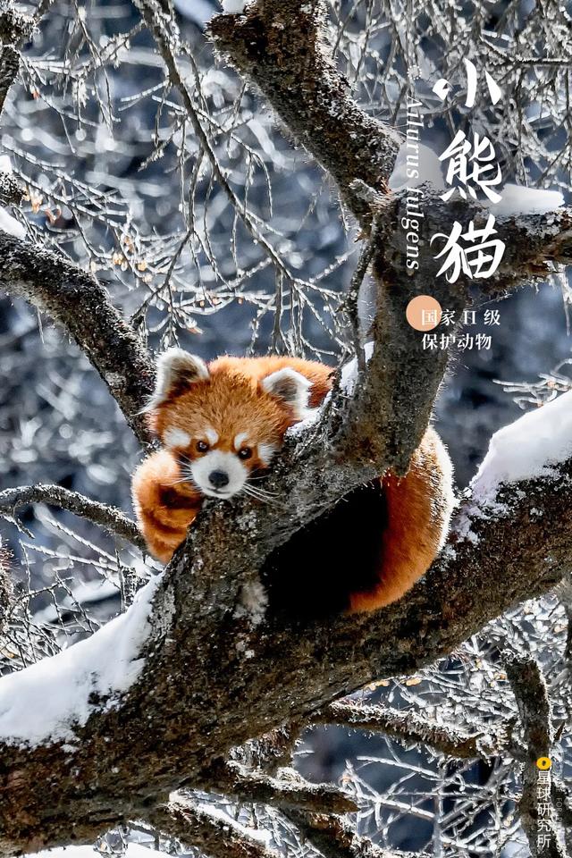 甘肃洗风化砂机哪里卖