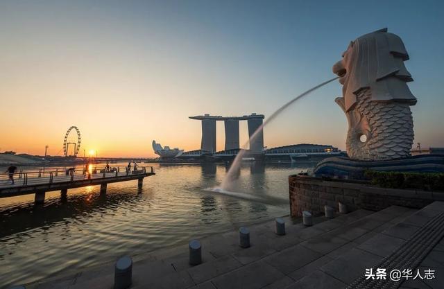 中国跨境电商的下一个王者，预定了新加坡富豪榜？