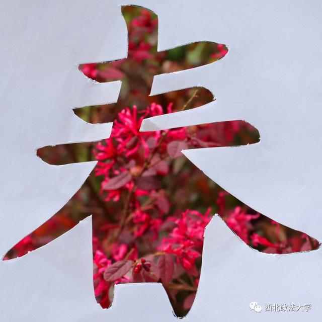 什么？在西法大，spring还有这个意思!