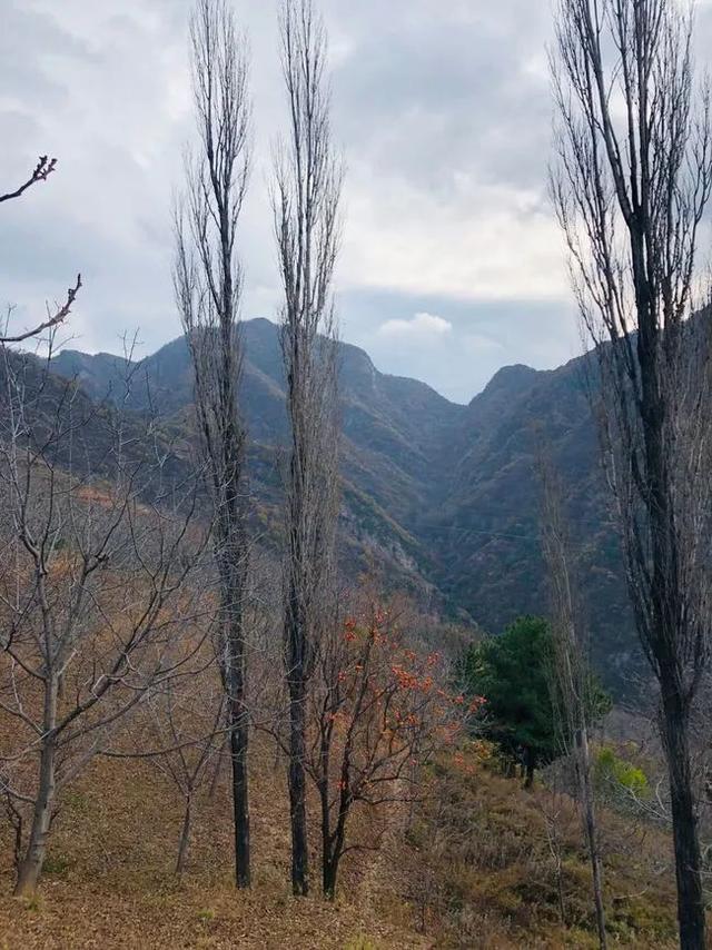 高山之上，秦嶺終南山有個原本熱鬧的空中村落，也許即將永遠消亡