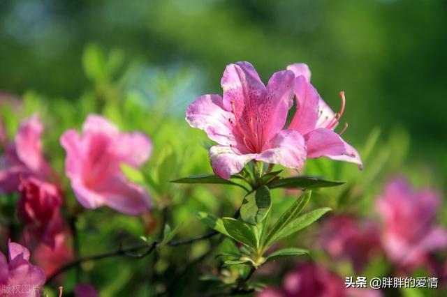 争的人生，才更顶天立地；不争的人世，才更恬静出尘