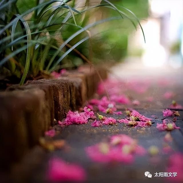 张恩涛：总有一条路是归途
