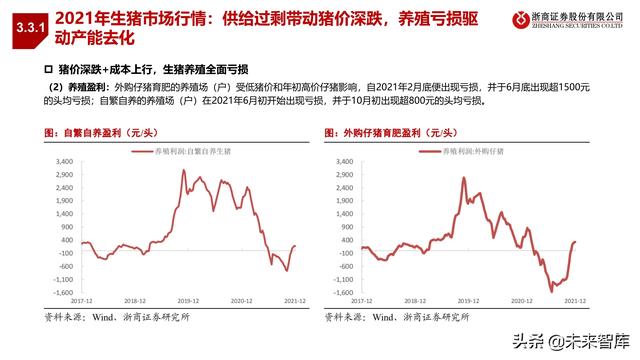 农林牧渔业2022年投资策略:种业、生猪、肉禽、疫苗行业分析