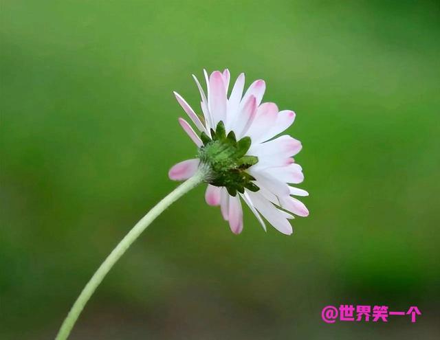 其实坚强的女人真的很累