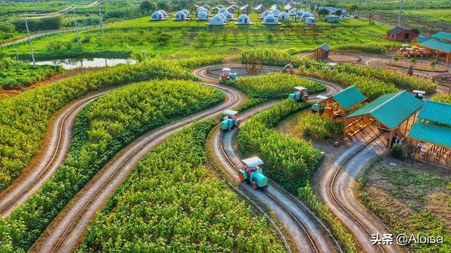 用低成本打造高创收的亲子农场(含案例) - 创业指南