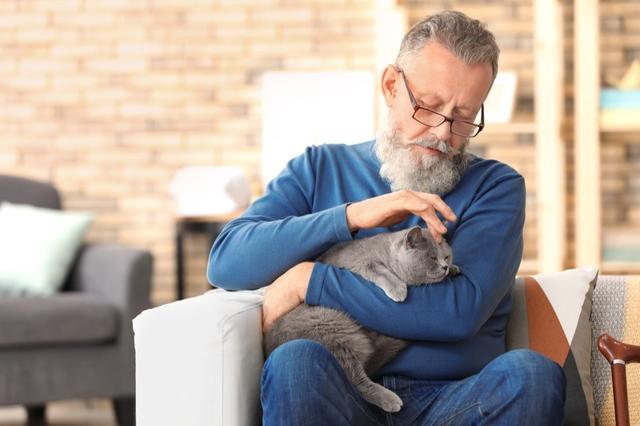 养猫的好处 养猫的好处（养猫的好处风水学） 动物