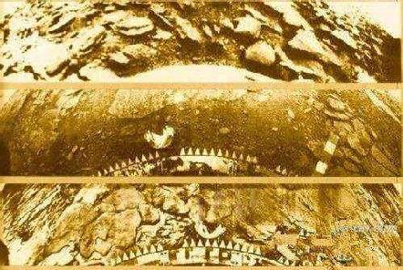 下一个地球是金星？温度高达462℃的金星，为何成为重点研究对象
