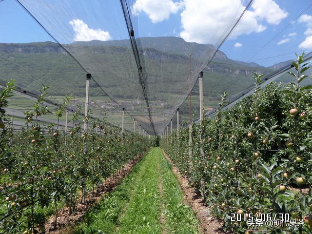 2018年意大利农业机械展