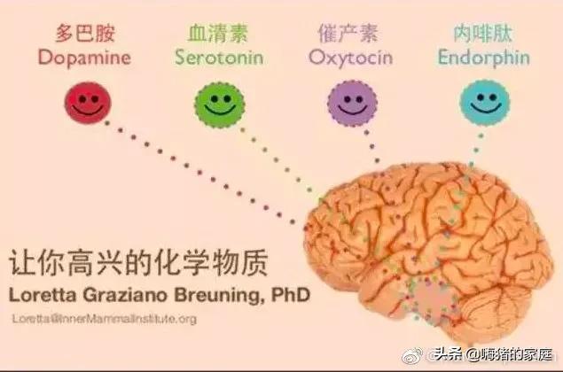 如何创造亲子关系中的幸福感