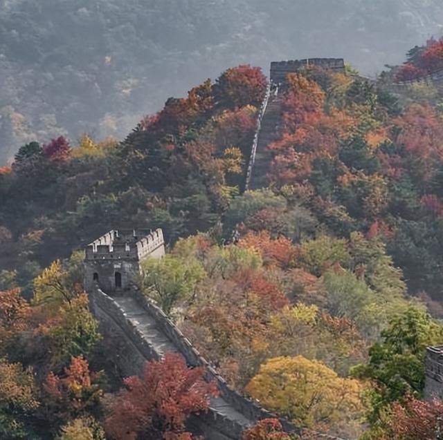 将全部的能量集中于当下