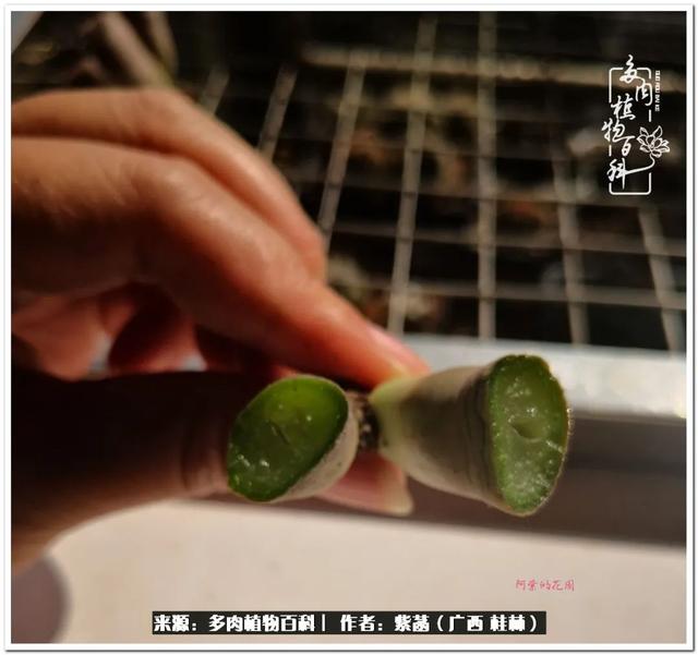 桂林滚筒式洗砂机厂家