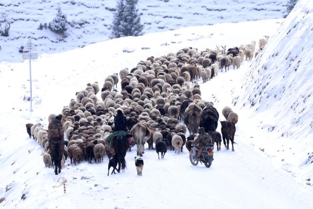 冬天新疆的美，被忽略了這麽多年
