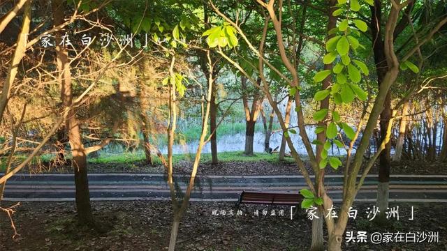 組圖 | 武漢地鐵5號線2期，沿途那些園林，逛一次少一次