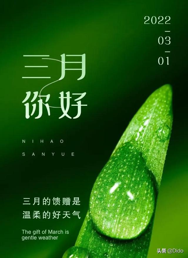 适合3月1号发朋友圈文案丨告别冬天的懒散迎接22年的春天吧 新闻时间