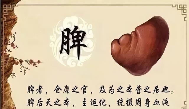春前温补，春后如虎！脾胃不好的人，这样进补就对了