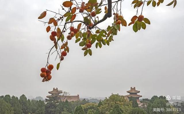 十美清東陵，您見過嗎？