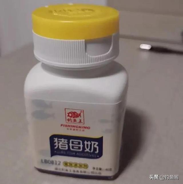 破碎机里的玩具鱼