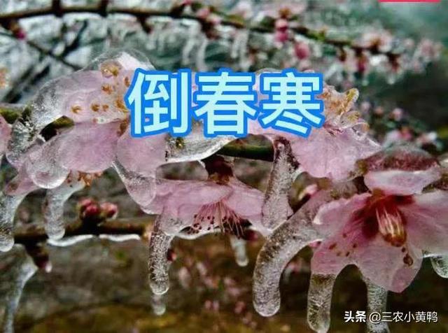 天气预报：今日21号，新一轮雨雪已确认，倒春寒成定局？农谚咋说