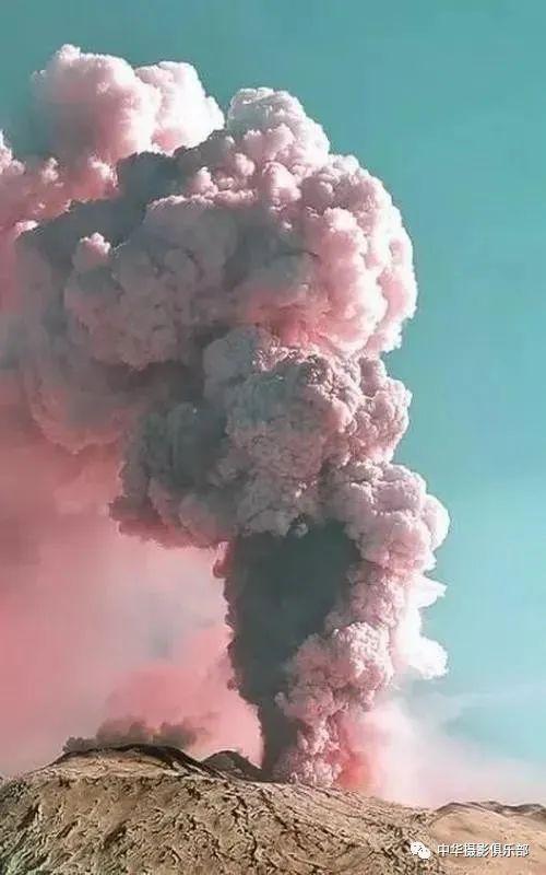 太美了！金奖摄影作品欣赏——