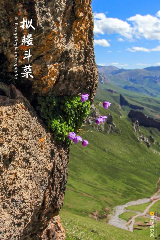 甘肃洗风化砂机哪里卖