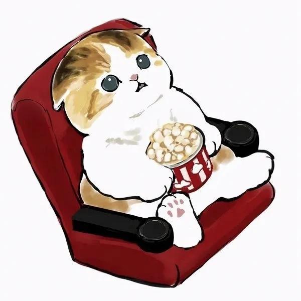 萌猫头像治愈系萌宠头像