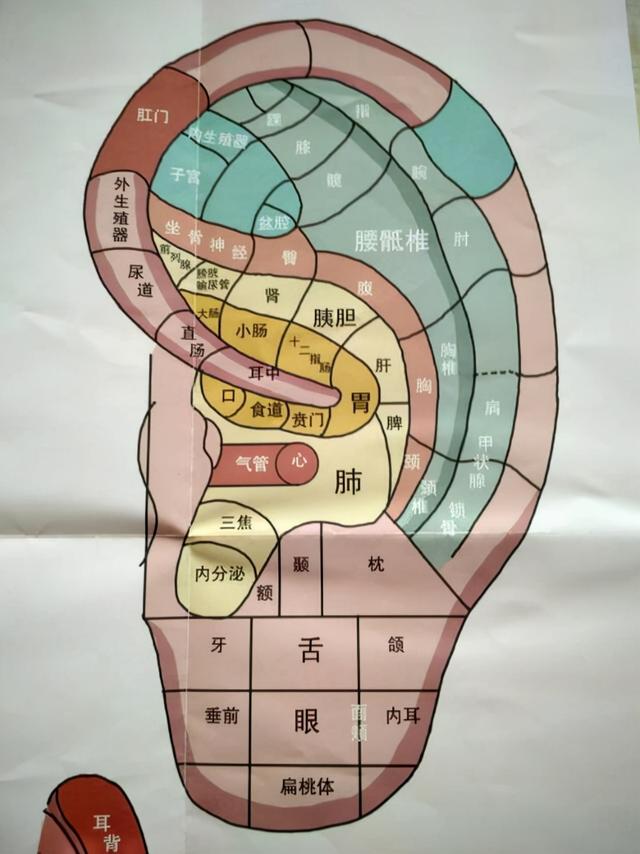 中医直言：肝郁气滞，气大伤身？中医教你这样调理