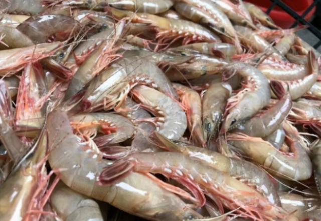 含“寄生虫”最多的3种海鲜，没营养还贵，很多人还天天吃