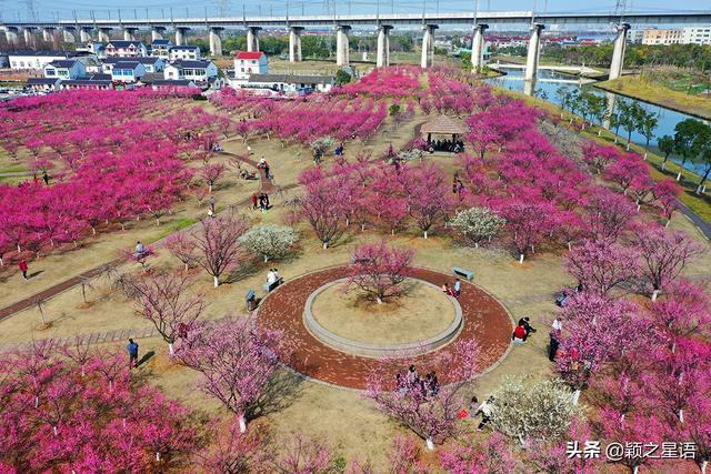 阳明温泉山庄