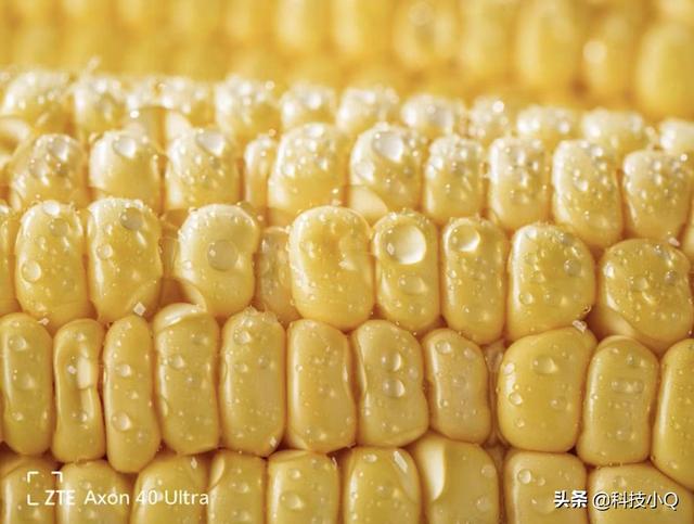 屏下旗舰拍摄手机！中兴Axon40系列挑战更多不可能