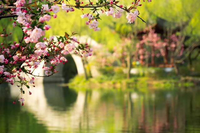 18首踏青诗词，春日游，杏花吹满头，许你一场浪漫相遇