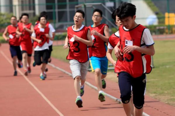 全国中小学将迎来新课标，英语或退出主科之列，体育要取而代之