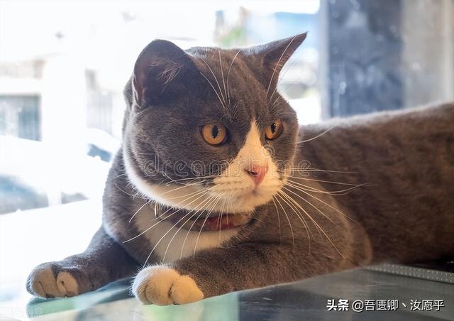 真正有权势的人在与人交往时是“懒惰”的