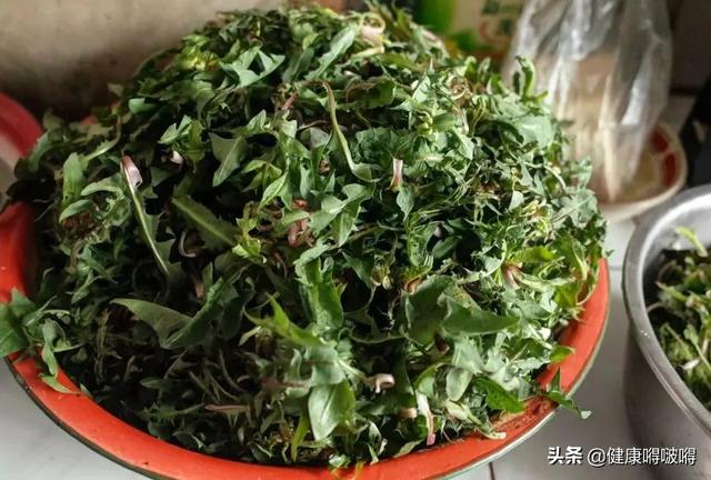 春分过后，野菜香，多吃这5种，下火、祛湿、排毒，少遭病魔侵扰