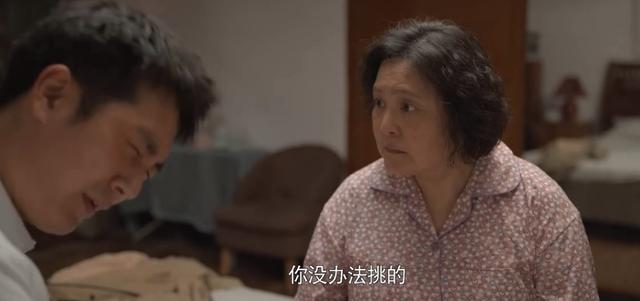 《心居》：刻薄的苏望娣，养出一个白眼狼，顾昕还惦念孙琦，过分