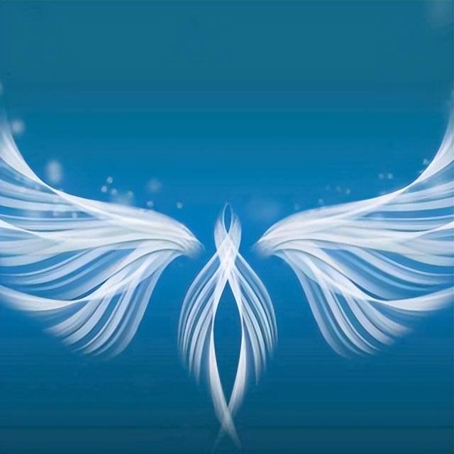 二,隐形的翅膀想象作文