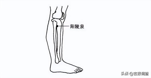 中医专家告诉你：抽筋怎么办？钙片不管用！2个穴位+泡脚就能缓解