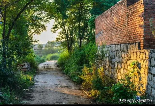 分享女儿的初中作文一《我和我的家乡》