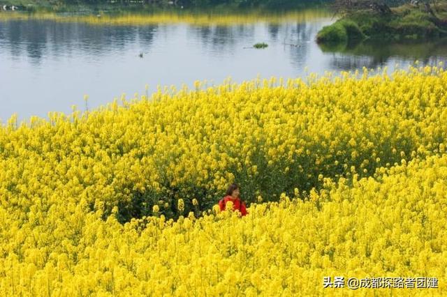 成都+团建