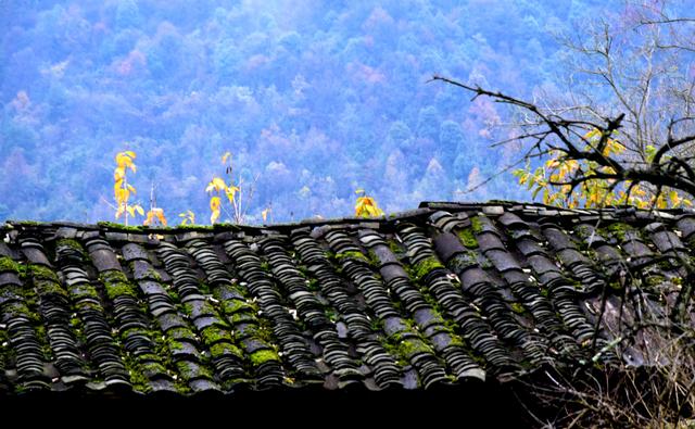 貴州金沙，踏紅軍足迹，觀古道山水，進溶洞探險