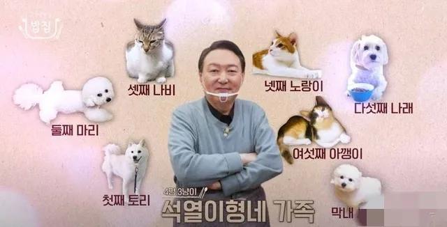 韩国新晋第一夫人终于“藏”不住了，她的故事远比你想象的要精彩