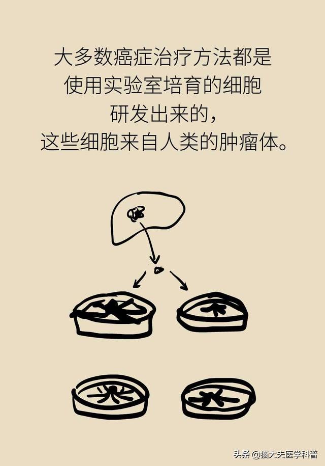 谈癌变色，这些治疗方法能够杀死癌细胞吗？