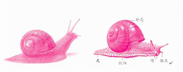 如何培养孩子的观察推理能力？这5个方法亲测有效