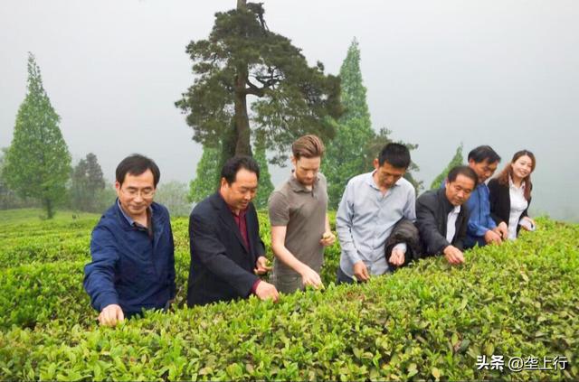 吕先奎冒“傻气”茶农们得福气——记保康县荆山锦茶业公司总经理吕先奎