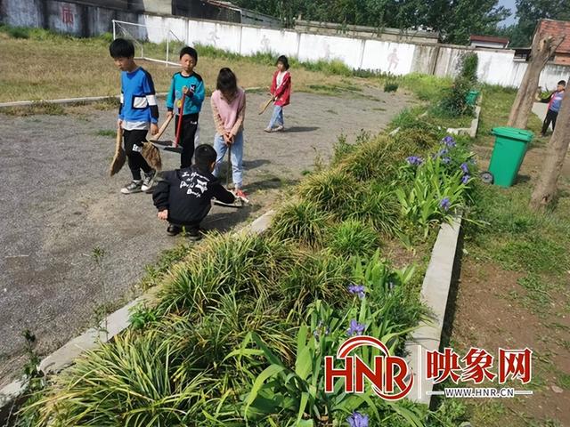 文明健康 绿色环保 西平县杨庄小街小学积极开展爱国卫生月活动