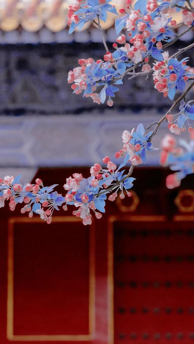 春日限定‖你的记忆还停留在哪里