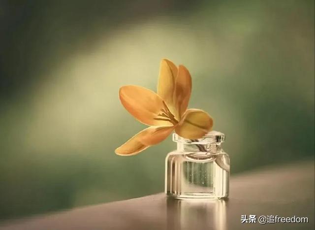 人生的三次觉醒：自律，自愈，自足
